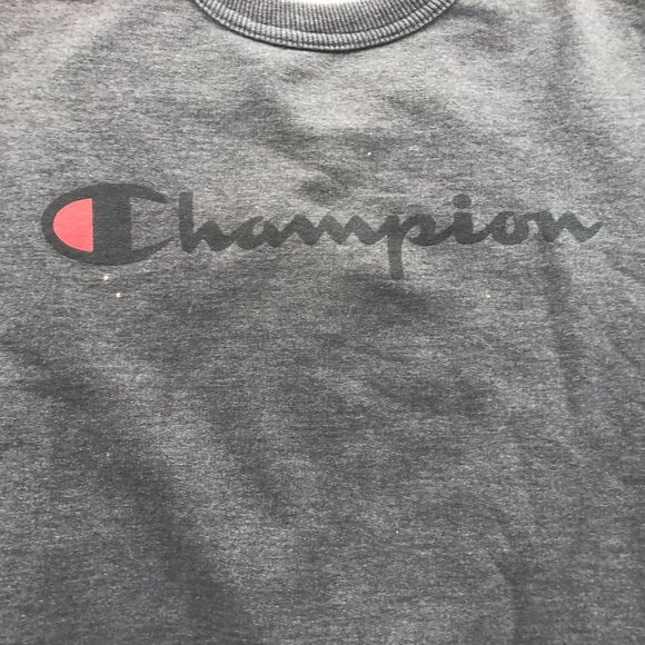Champion Mens Sweatshirt Medium Gray Crewneck Pullover Classic Casual Travel - Picture 7 of 11